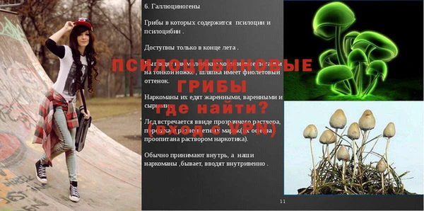 PSILOCYBIN Алексин